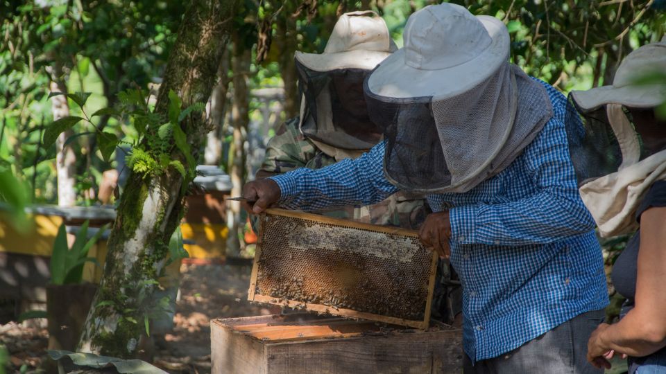 Conseguí un empleo. Me ha servido de mucho