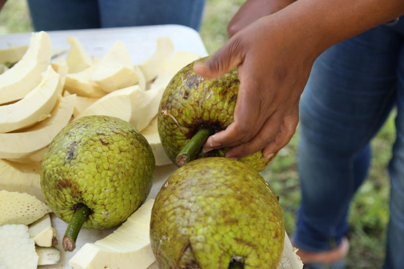 Visita Sorpresa a Yamasá