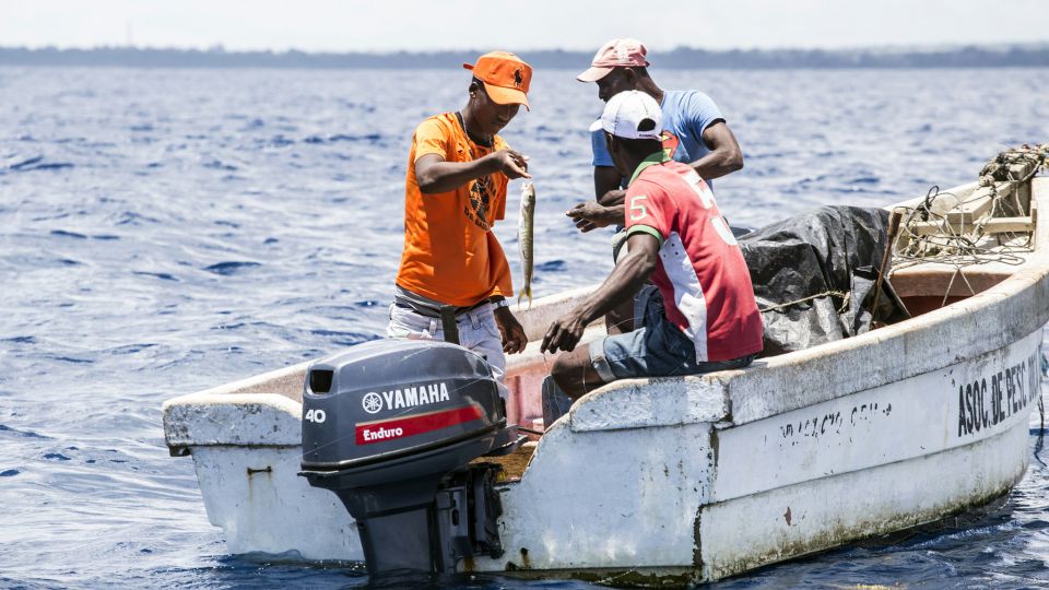 pescadores