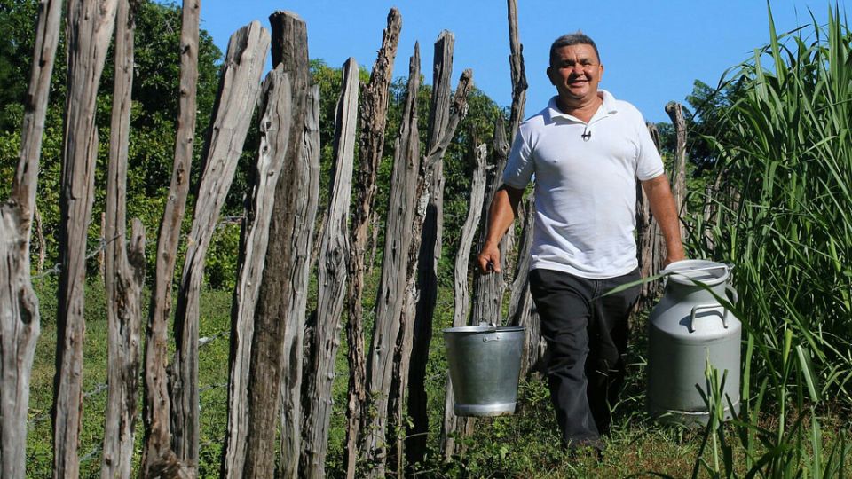 Partido, Dajabón. Hay que ponerle carácter al ganado