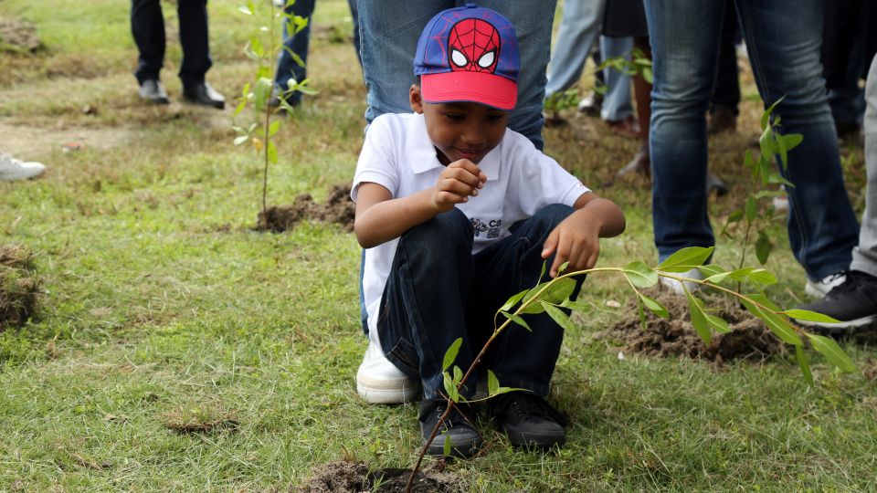 Medio Ambiente