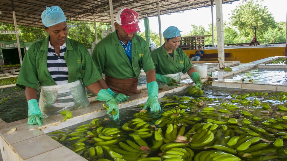 Conseguí un empleo