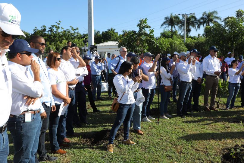 Inicia programa de siembra de un millón de árboles de caoba en Peravia y Punta Catalina