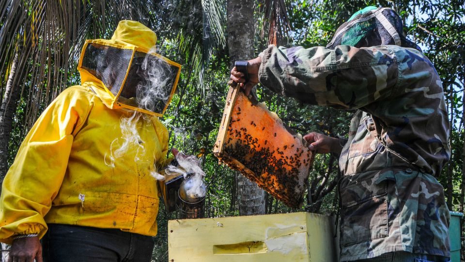 Cooperativa Agropecuaria de Servicios Múltiples (COOPASEM)