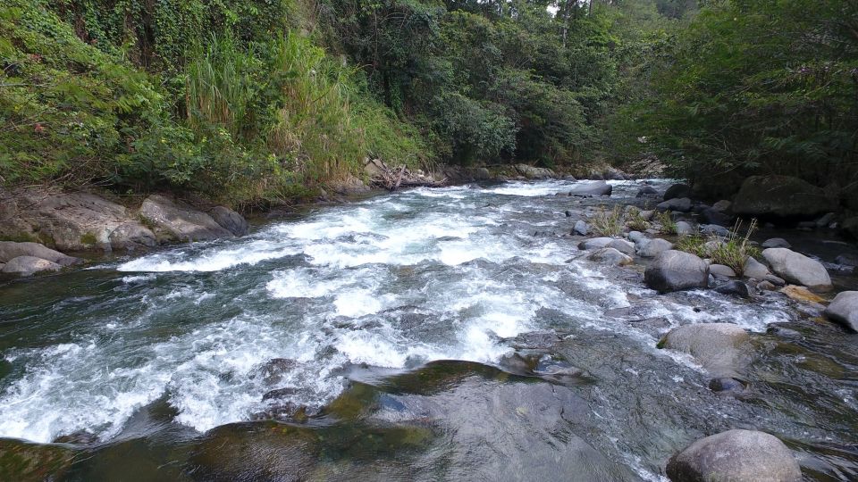 Río Bao