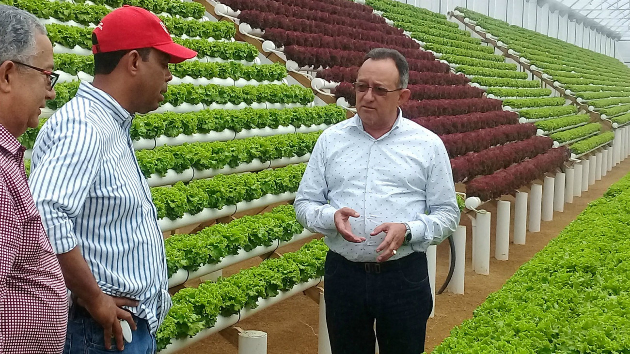 Gobierno implementa medidas preventivas para garantizar producción de vegetales en Rancho Arriba