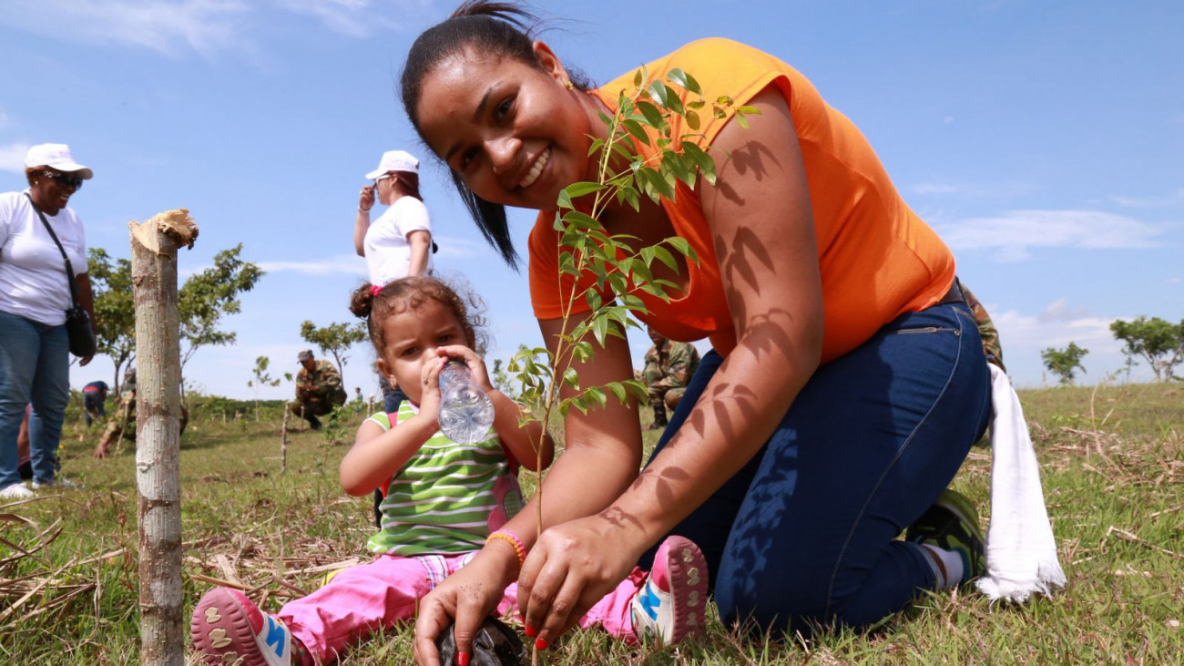 Reforestando cuenca del río Ozama.