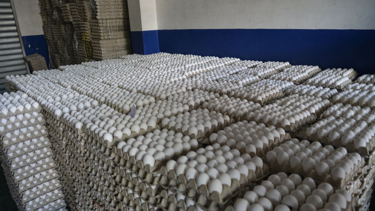 Producción de huevos
