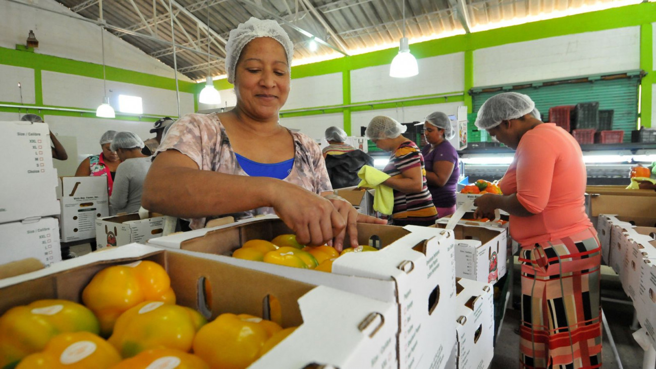 Agricultura 