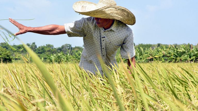 Danilo Medina felicita agricultores en su día 