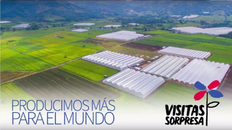 Producimos más para el mundo