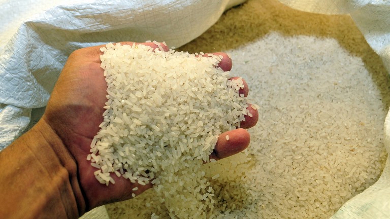 Agricultura: demanda interna de arroz está garantizada