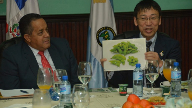 Pequeños y medianos productores de Jarabacoa y Constanza sembrarán peras japonesas