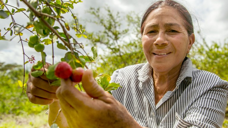 Con las Visitas Sorpresa la agropecuaria dominicana crece
