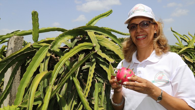 Adita Tavarez. Presidenta del Clúster Nacional de Productores de Pitahaya