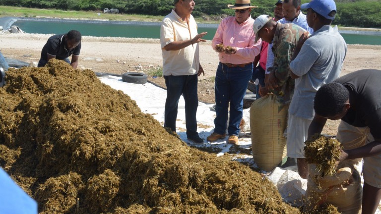  Proyecto El Espartillar en Duvergé es el mayor productor de forrajes en el país; ganaderos conocen avances