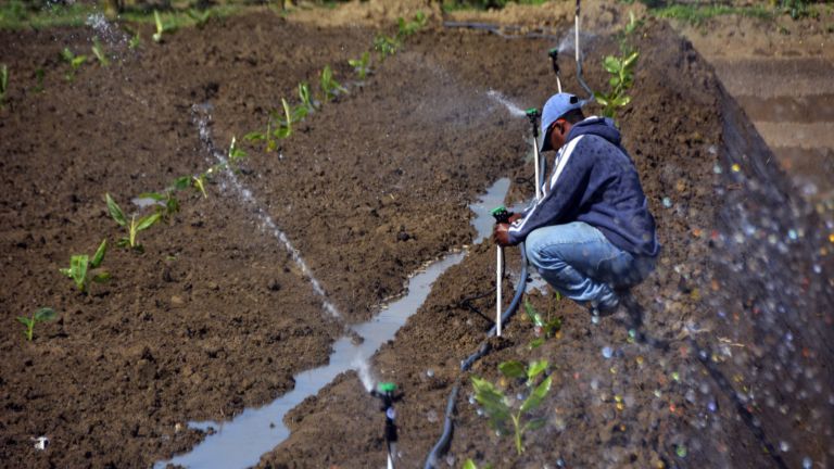 Hombre trabajando la tierra para evitar la sequía 